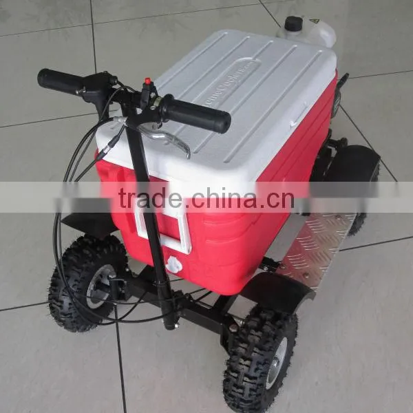 Best Gift Barbecue Gas Cooler Scooter 43CC SX-G110 From China photo-3