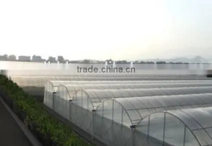 Large Plastic Film Multi-span Zigzag Greenhouse for Fruits photo-4