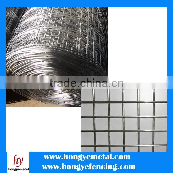 Customized Made High Quality 2X2 Galvanized Welded Wire Mesh Panels photo-6