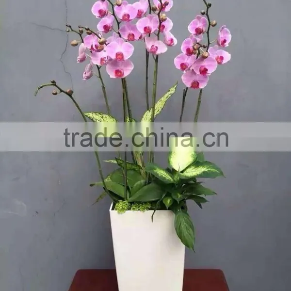 Vertical Garden,square Planter,self Watering Flower Pot photo-4
