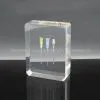 Acrylic Resin Syringe Needle Paperweight