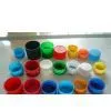 Plastic Bottle Cap Mould