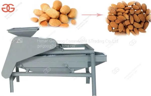 Hazelnut Shelling Machine|Hazelnut Sheller Machine|Hazelnut Dehulling Machine photo-3