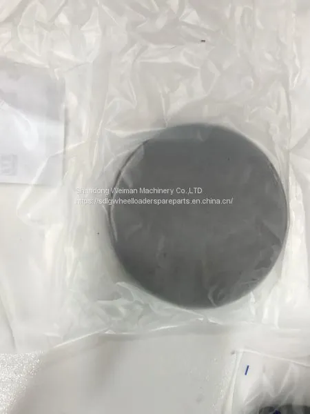 Original ZF 4WG200 Transmission Gearbox Spare Parts 4642301106-Sealing Cap(SP100396) photo-2
