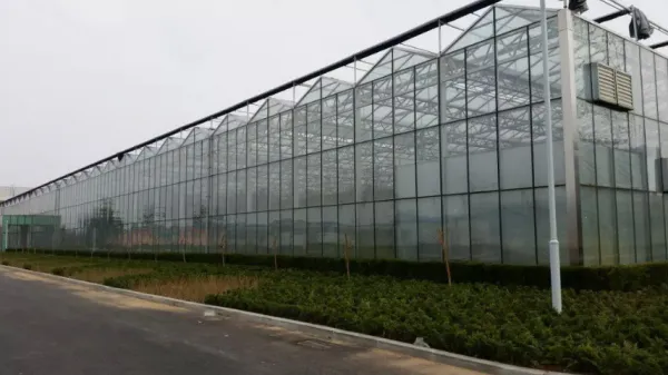 Intelligent Glass Greenhouse With Hydroponic System photo-4