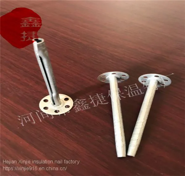 External Wall Metal Insulation Nail High Quality Wall Insulation Nail External Use of Engineering Insulation Nails