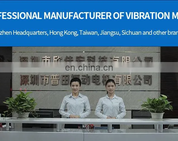 Vibrator Motor 2.2KW Silicone Vibrator Electric Vibrator Bangladesh photo-3