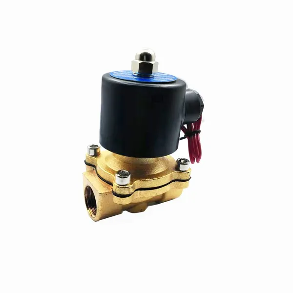 2/2 Way 220V Direct Acting Brass Material 2w160-15 Irrigation Water Solenoid Valve photo-5