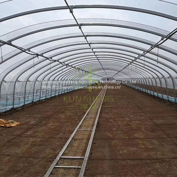 Multi-span Greenhouse photo-2