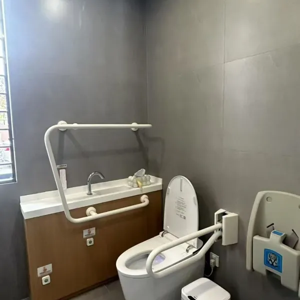 Japan Nursing Home Bathroom Handrails, Barrier-free Handrails, Toilet Handrails, Bathroom Safety Handrails photo-4