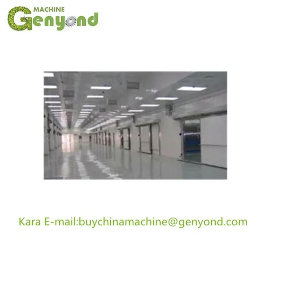 IQF Tunnel Freezer, Used Machine IQF/quick Freezing Room photo-5