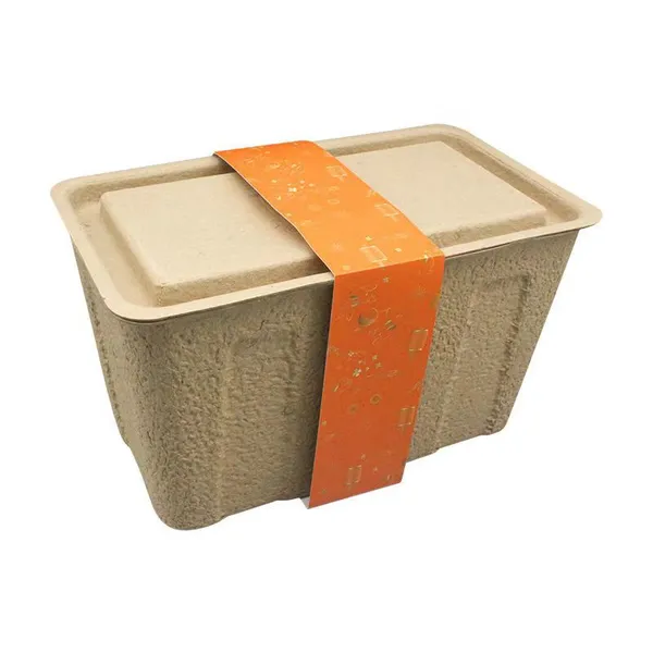 Boîte de rangement en pulpe de papier recyclable, écologique, résistante à l'eau, compostable,