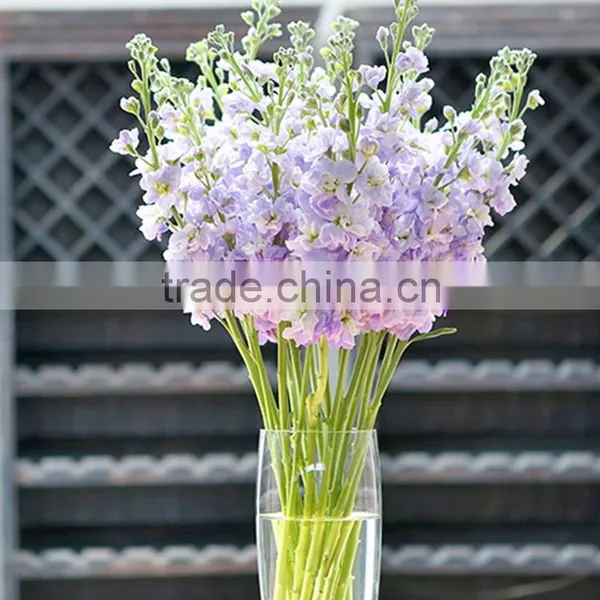 Cheap Best-Selling Light Purple Violets photo-2