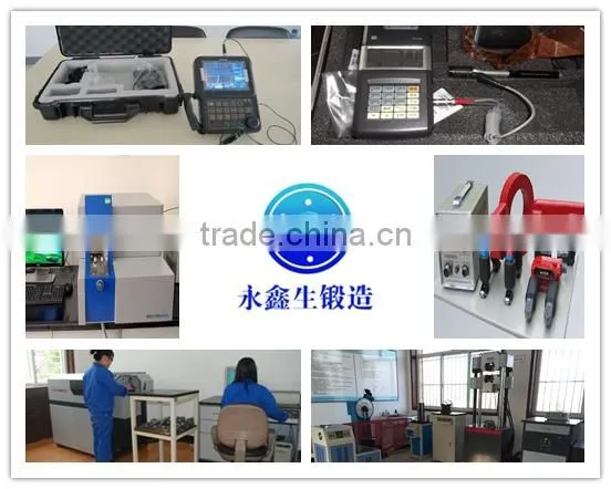 The Supply of 4350 Materials Forgings photo-4