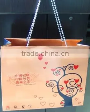 Paper Gift Bags