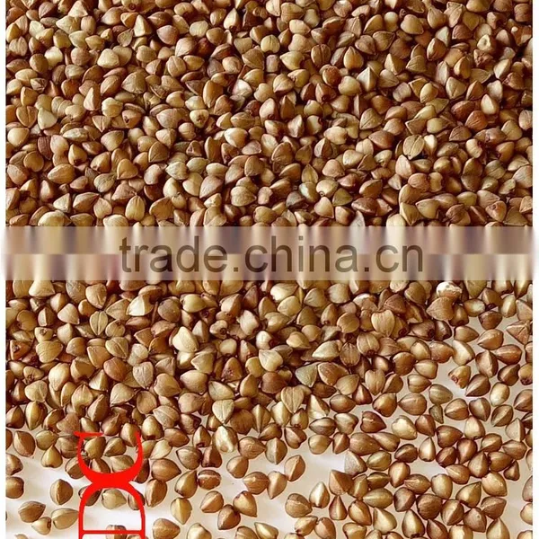 Roasted Buckwheat Brown Colour Sweet Seed