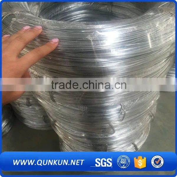 China Supplier Galvanized Wire photo-6
