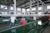 Root Vegetable Production Line Washing Cleaning Sorting photo-6