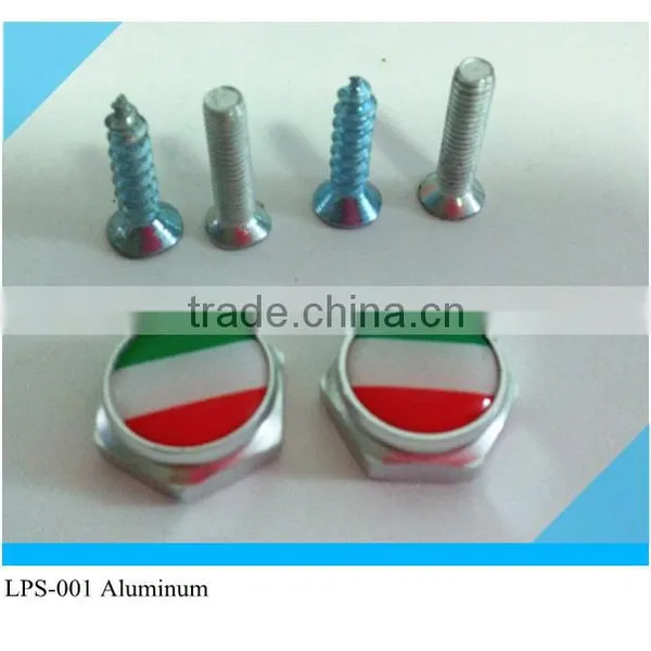 Car License Plate Frame Bolt Srew