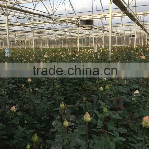 H2h Hydroponic Systems and Greenhouses photo-4