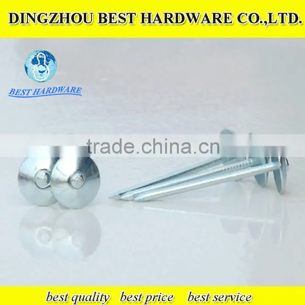 Twist Shank Roofing Nail photo-5