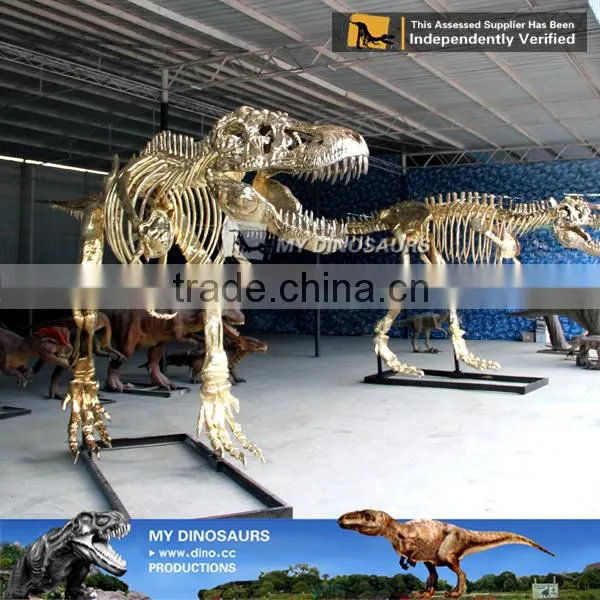 MY Dino-O08 Life Size Fiberglass Dinosaur Skeleton Decoration photo-4