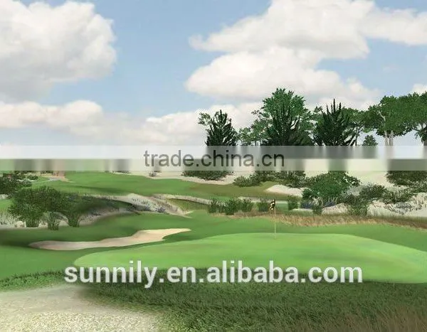 Virtual Golf photo-4