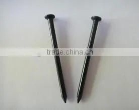 100pcs Black Steel Concrete Nails photo-2