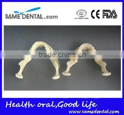 Dental Simulation Mandibular Model DEA-41 photo-2