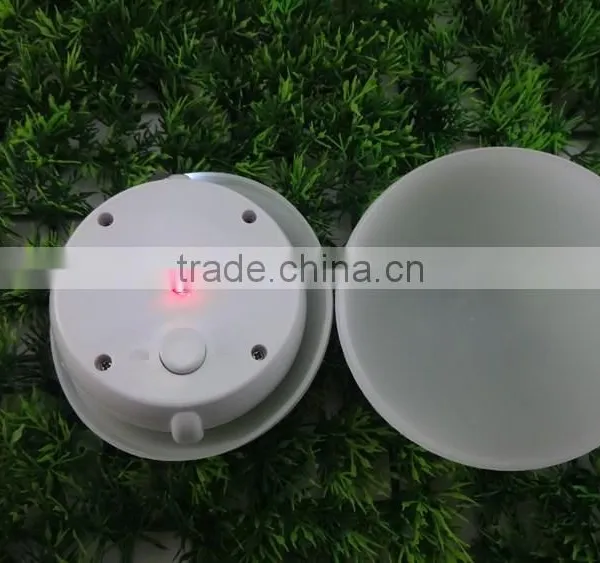 2.4G Radio Control Poke Ball Funny RC Ball With Colorful Light photo-6
