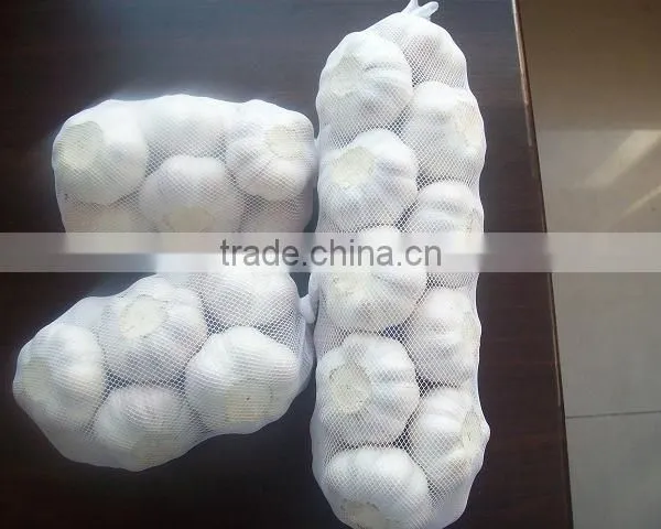 Fresh Normal White Garlic From Cold Store