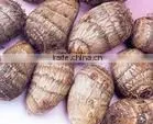 2015 Supplier of Good Taste and Natural Taro in China photo-5