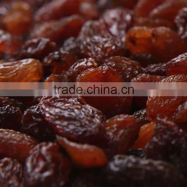Xinjiang Raisins Dark Raisins Sultana Raisin photo-2