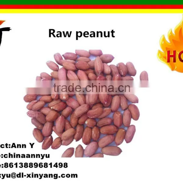 Wholesale Long Size Chinese Peanut Kernels From China photo-2