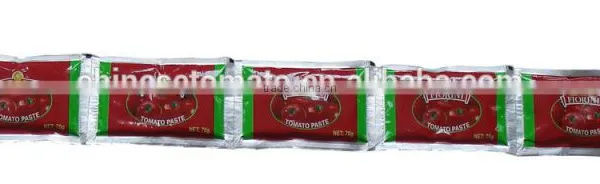 Halal Certified Sachet Tomato Paste photo-2