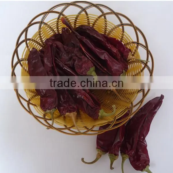 Chinese ISO , HACCP, HALAL Certificates High Purity Water Washed Paprika For Mexico Market photo-4