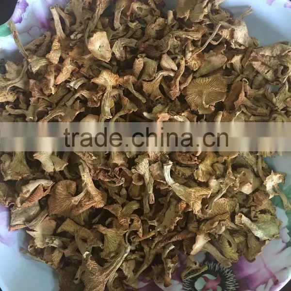 Dried Cantharellus Cibarius