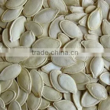 Shine-Skin Pumpkin Seeds