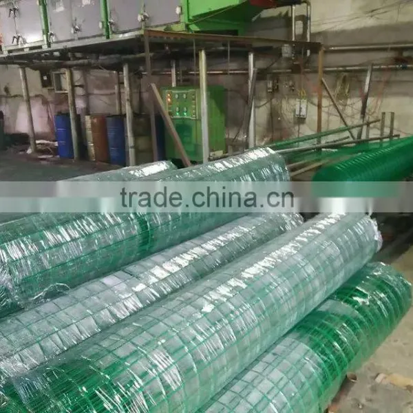 Grass Green Coated 2mm Iron Wire Welded Mesh 50x50mm Mesh Size 1x30m Rolls photo-2