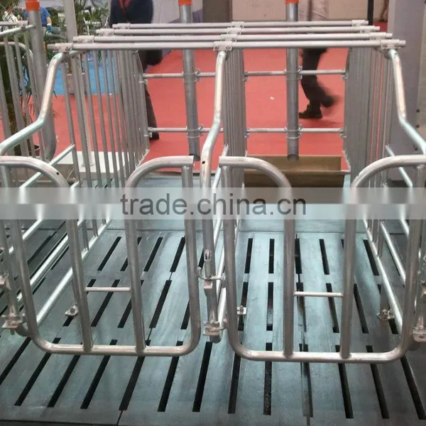 Hot Sales Gestation Stalls for Pigs