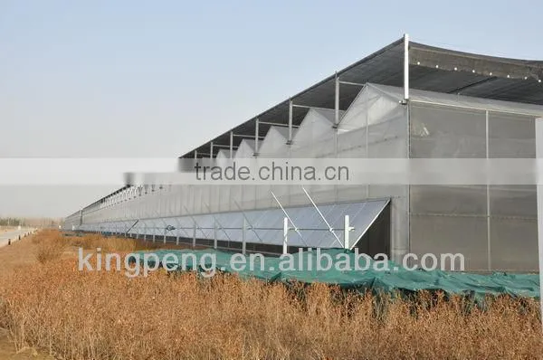 Venlo Roof Type Glass Greenhouse photo-4
