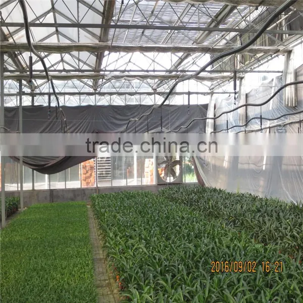 Natural Ventilation Green House for Vegetables photo-4