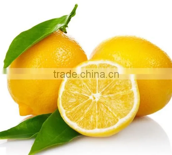 HST300 Rose Oil Solvent Extraction Equipment photo-6