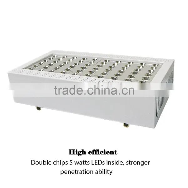 5w Epistar Chip 300w Led Grow Light Full Spectrum Hydroponic Lights for Plants Grow photo-4