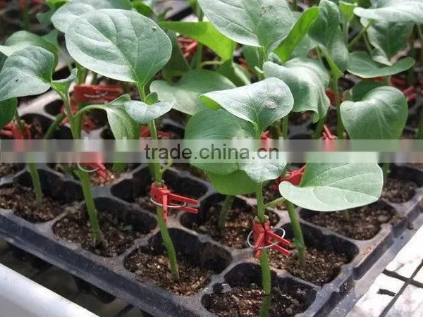 The Newest Promotion Personalized Rice Seedling Tray Wholesale photo-6