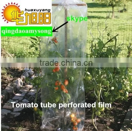 PE Garden UseTomato Tube Green House Packing in Bag photo-3