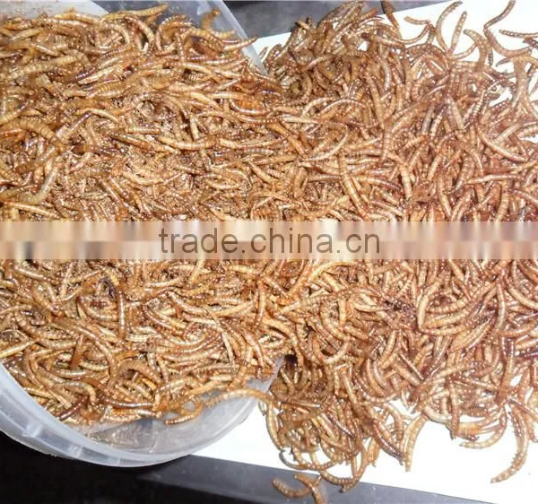 Eco-Friendly Goldfish Feed Mealworm, Pond Fish Feed Mealworm photo-2