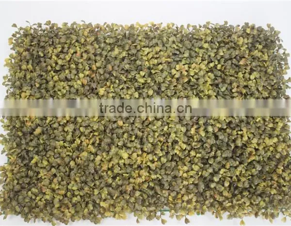 Durable and Hot Sale Fake Milan Grass Newly Published Artificial Milan Turf photo-2