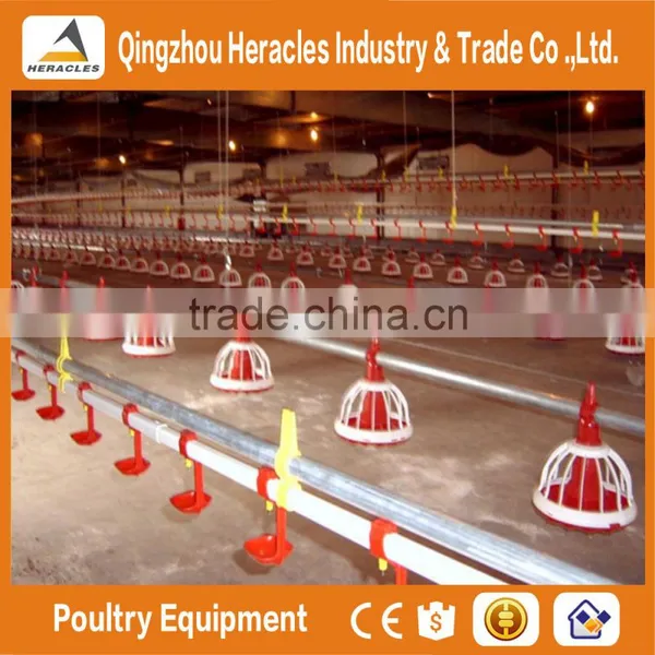 Factory Hight Quality Galvanized Poultry Farm Materials on Sale photo-5