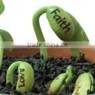 Magic Egg With Abundant Faces With Customized Magic Bean With Tray photo-4